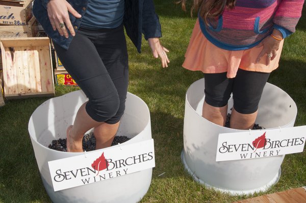 Grape Stomp at White Mountains Crush Festival
